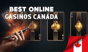 Discover the Top Online Casinos in 2023 Discover the Top Online Casinos in 2023